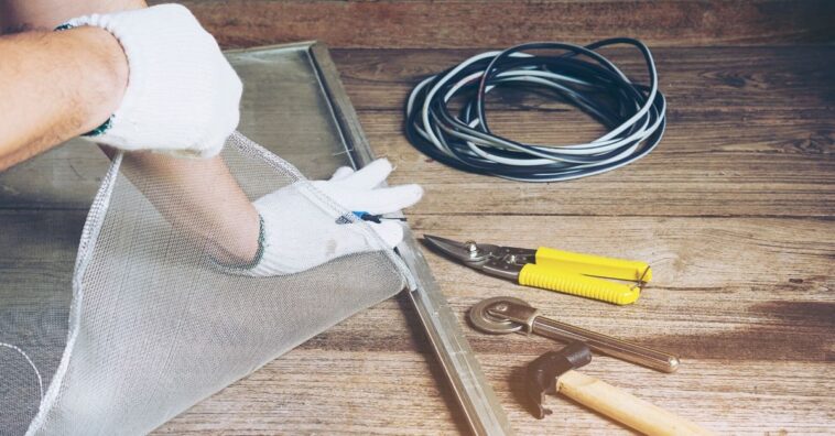 como afastar insetos dia chuvoso