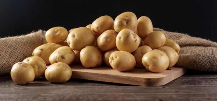 como plantar batatinhas em casa