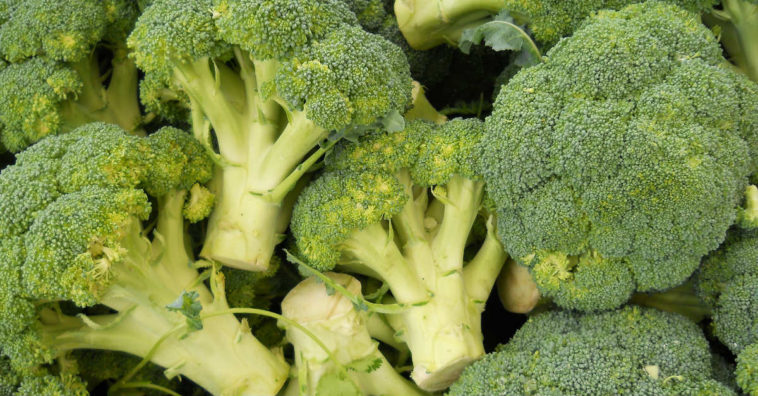 como congelar brócolis