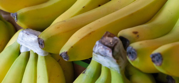 como conservar banana