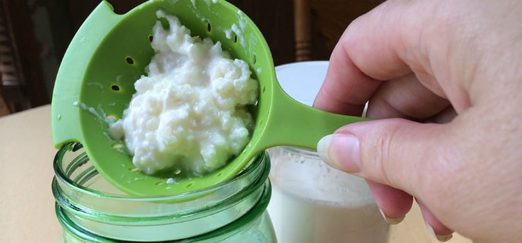 como consumir kefir natural