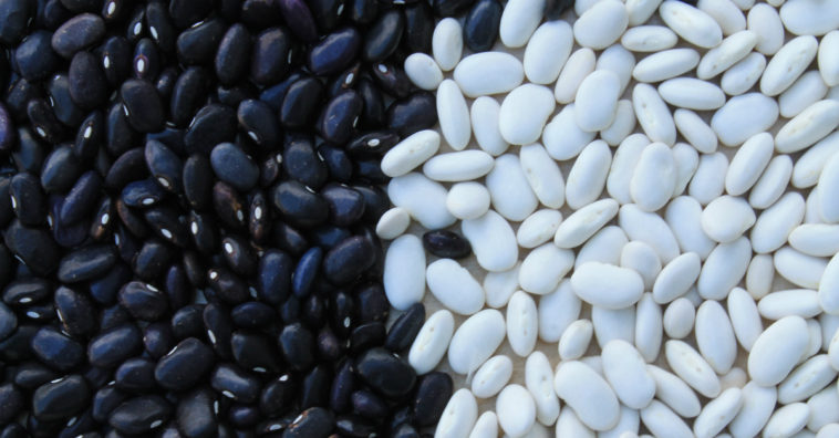 como cozinhar sem medo feijao sem panela de pressao