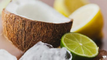 kefir de água de coco