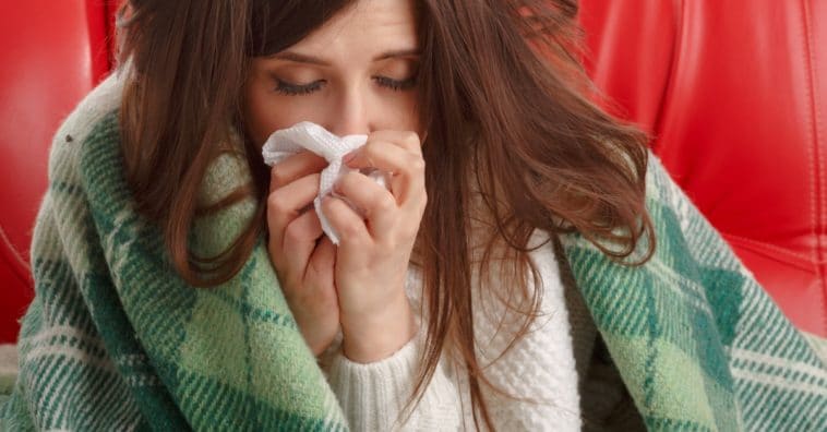 remédios caseiros para gripe