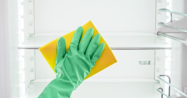 como desinfetar geladeira