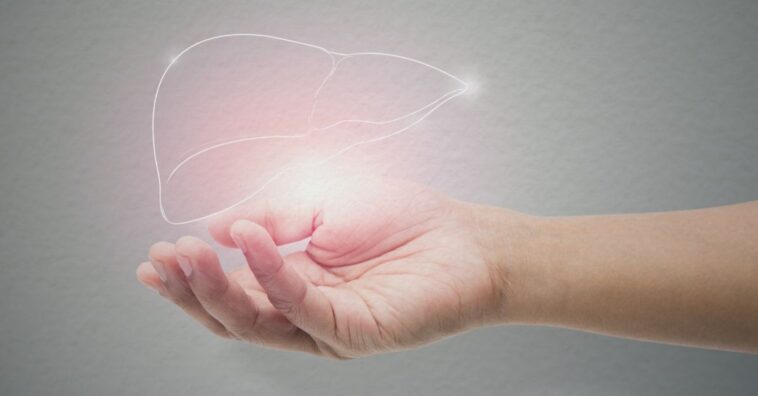 desintoxicar o fígado