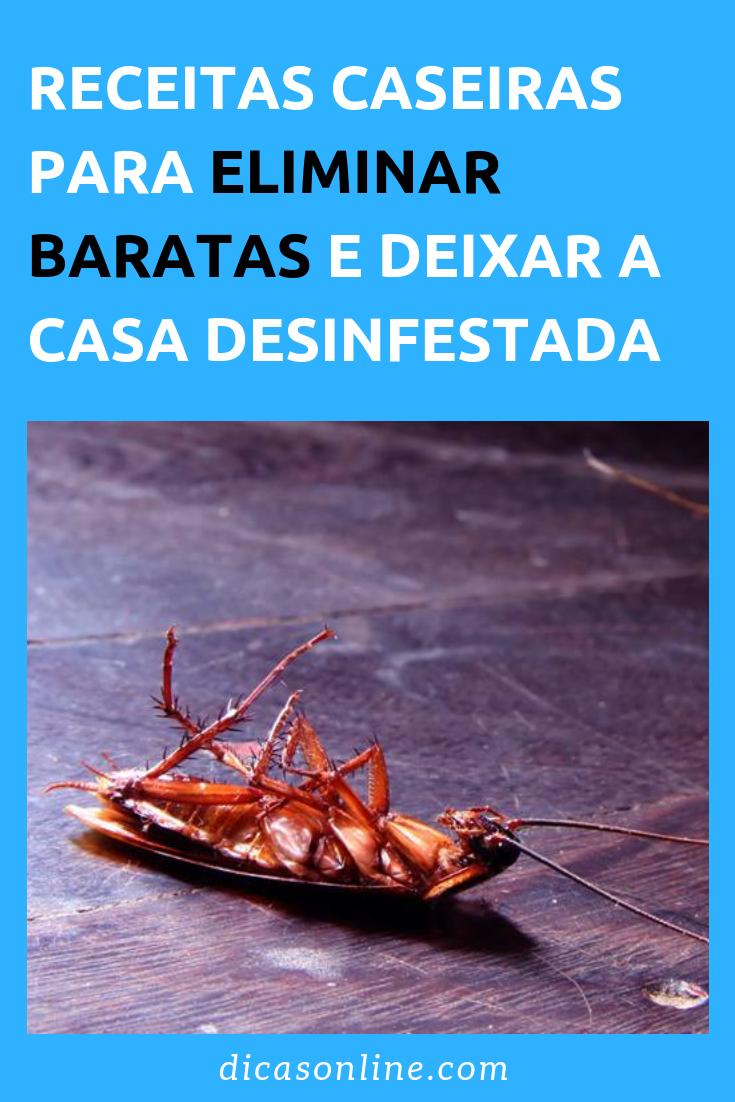 Como eliminar baratas