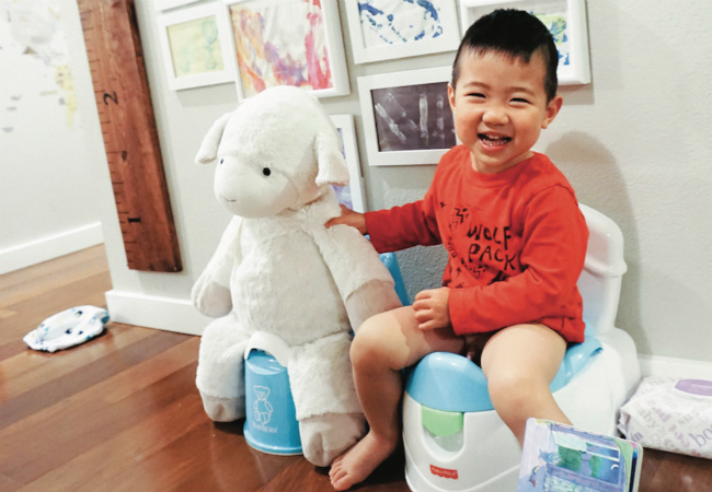 como ensinar o bebê a usar o penico dicas