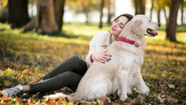 tipos de coleira para cachorro