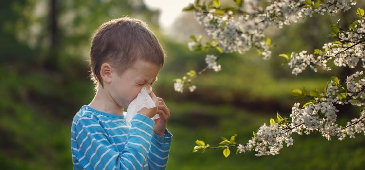 como evitar sintomas de alergia ao pólen