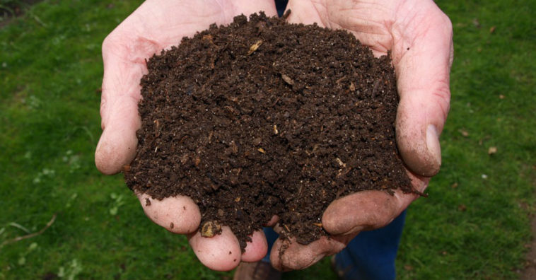 como fazer adubo organico