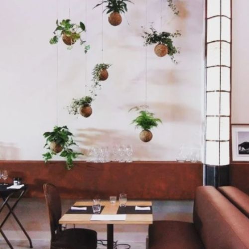 como fazer kokedama decoração comercial