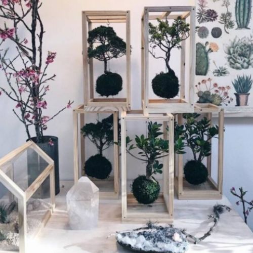 como fazer kokedama em nichos