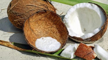 benefícios do leite de coco