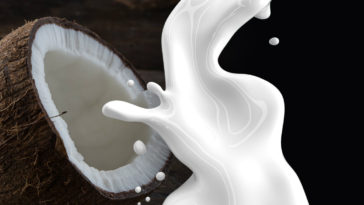 como fazer leite de coco caseiro