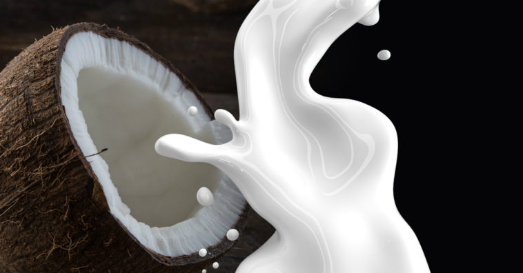 como fazer leite de coco caseiro