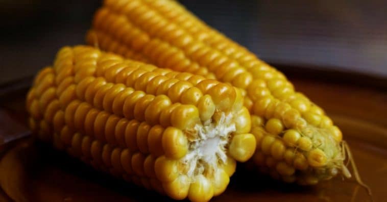 como fazer milho cozido