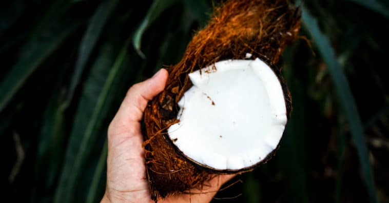 como fazer óleo de coco caseiro e natural