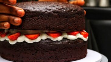 pão de ló de chocolate