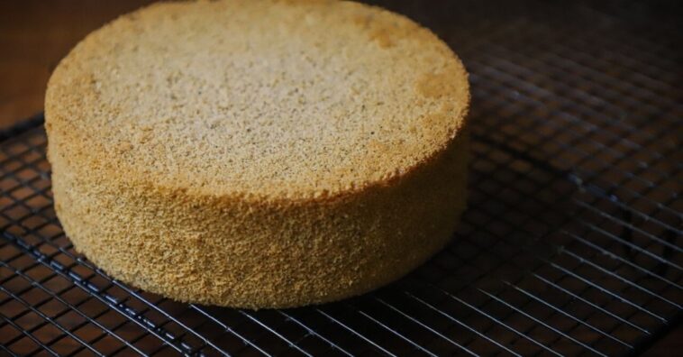 pão de ló de água