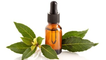 fazer remédios com louro