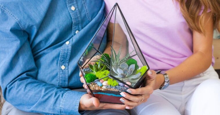 como fazer terrário de suculenta e inspirações
