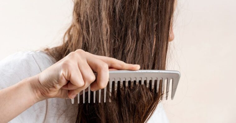 como identificar cabelo ressecado