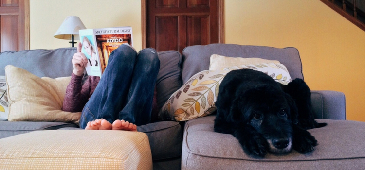 limpar sofá com vinagre e amaciante