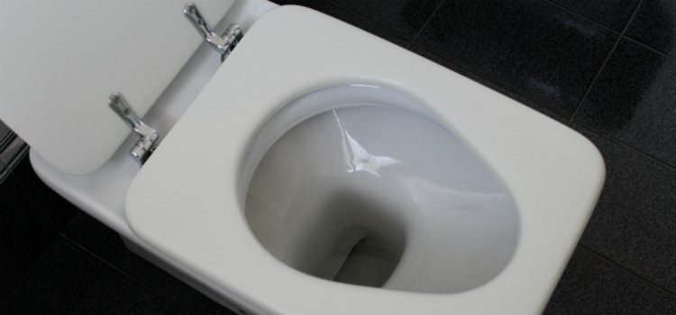 como limpar vaso sanitário tirar crosta