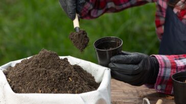 como medir o pH do solo