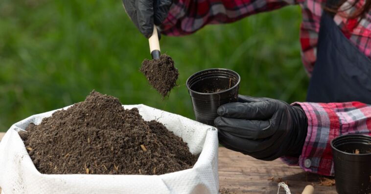 como medir o pH do solo