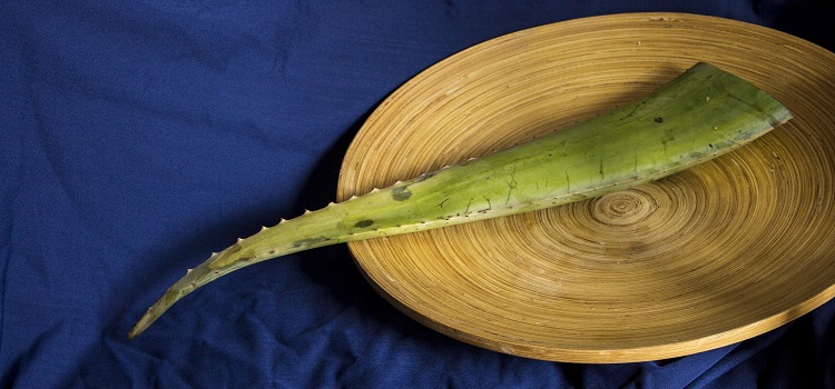 como preparar chá de babosa