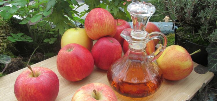 como tomar vinagre de maçã com mel