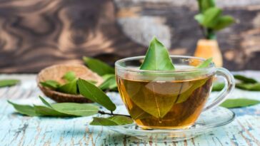 louro para ansiedade