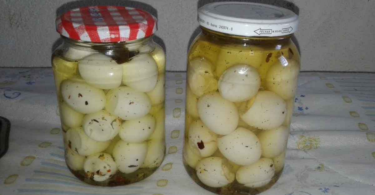 Como fazer conserva de ovo de codorna