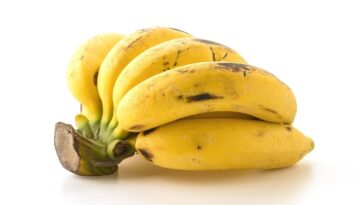 conservar banana madura por mais tempo