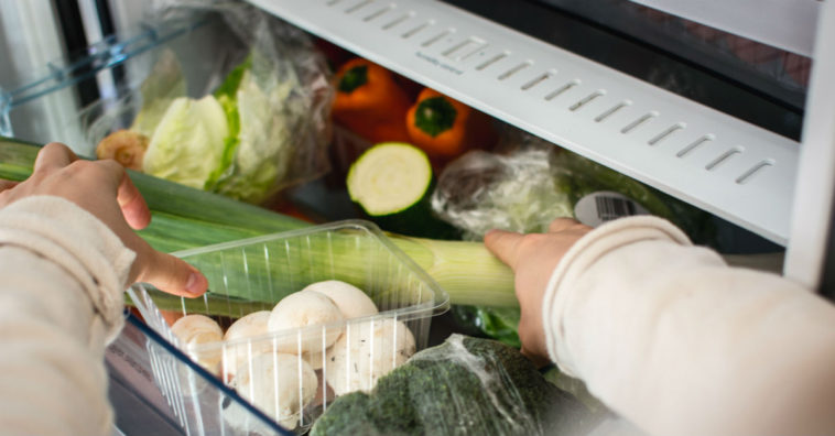 conservar legumes na geladeira corretamente