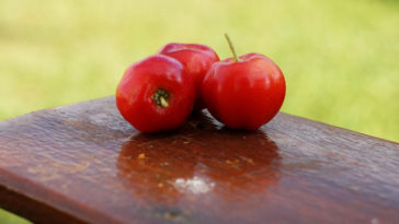 acerola