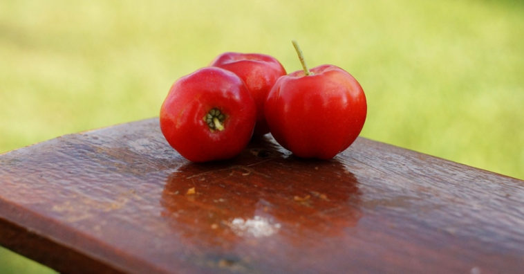 acerola