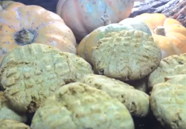 como fazer cookies de chocolate com abóbora sem glúten