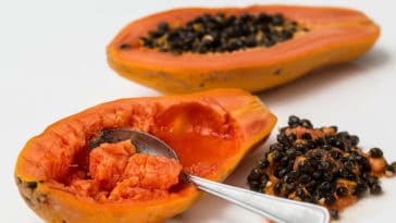 creme de papaia caseiro