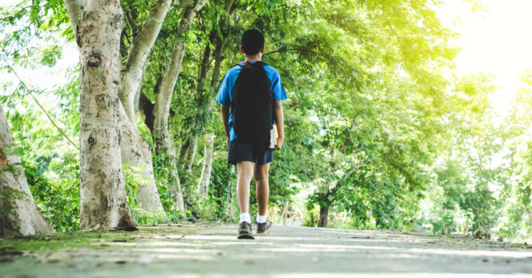 crianças desaparecidas em portugal