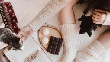 cuidados com animais na quarentena