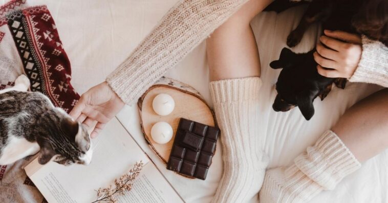 cuidados com animais na quarentena