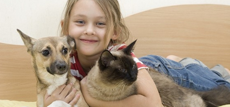 animais de estimação dentro de casa cuidados pets crianças