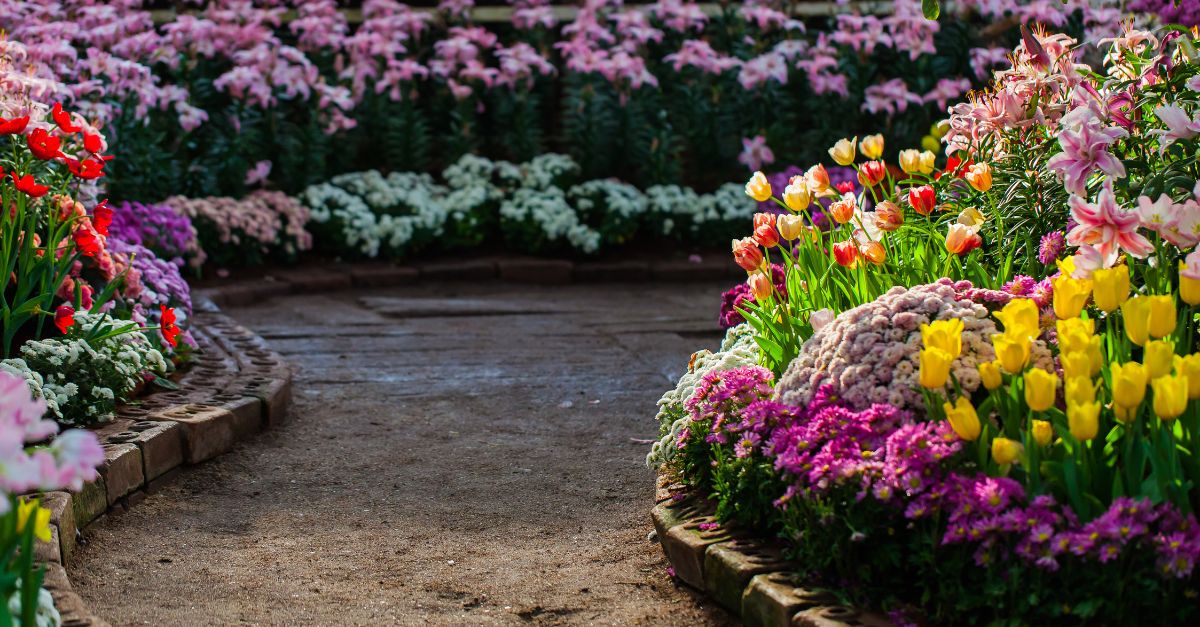 cultivar um jardim saudável