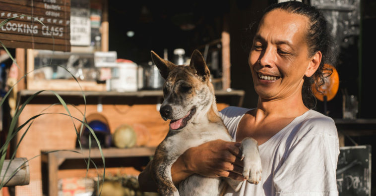 cães diminui risco de morte