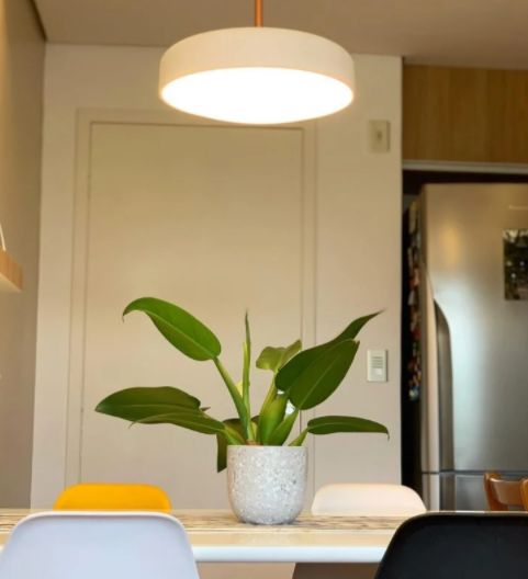 ideia de decoração com pacová sobre a mesa