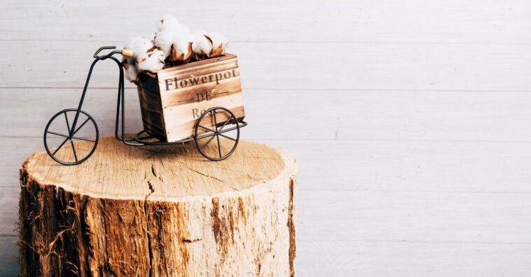 decoração com troncos de árvore