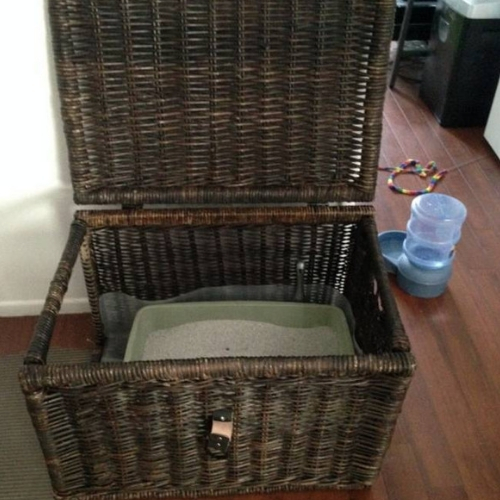 ideia decoração para quem tem gatos caixa